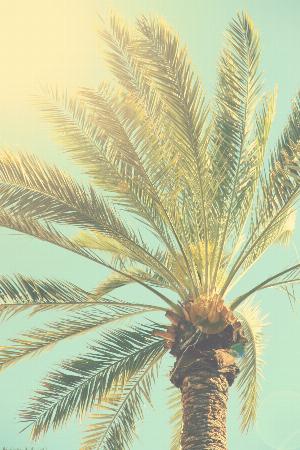 15 - 3Fk2WWP.jpg Android HD Nature Wallpapers